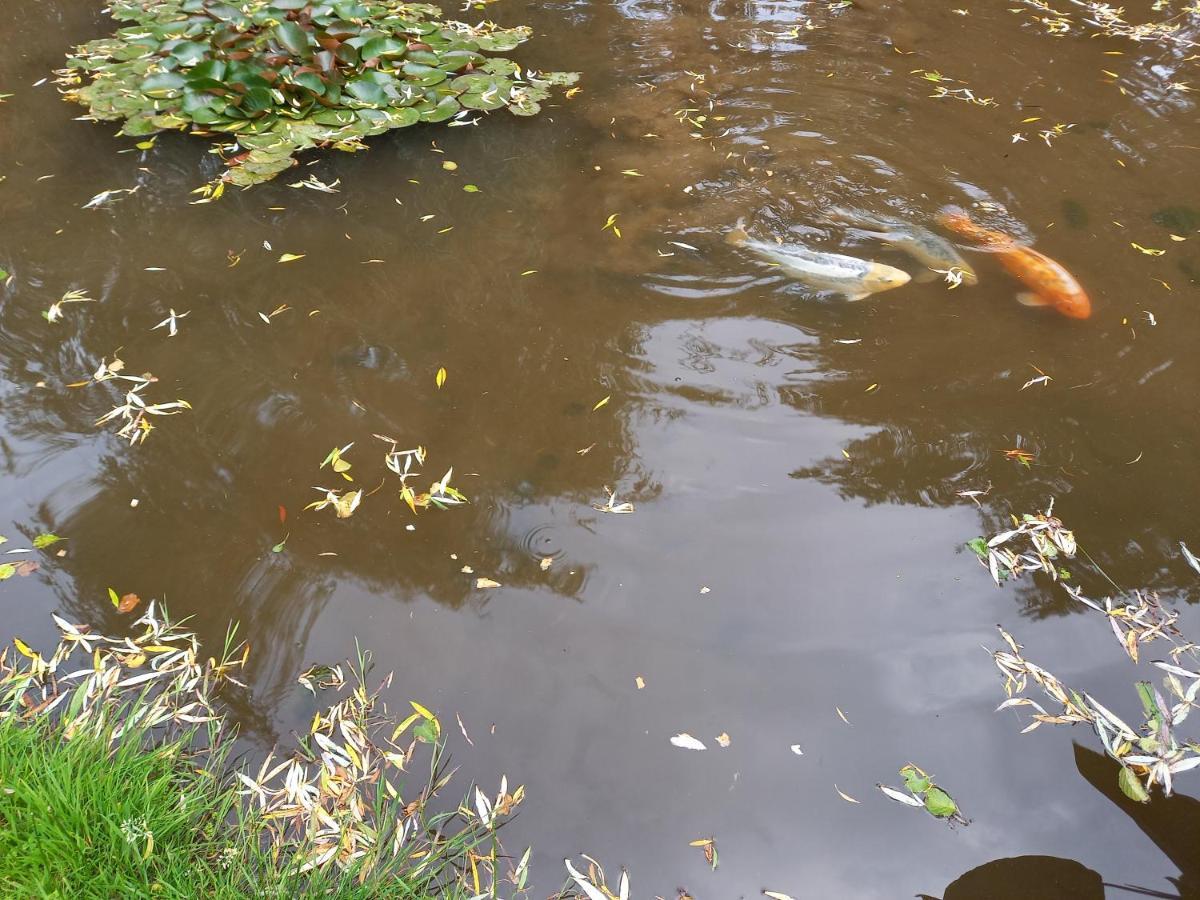 La Gasteboisiere With Swimming Pool And Games Room Le Mesnil-Adelee エクステリア 写真