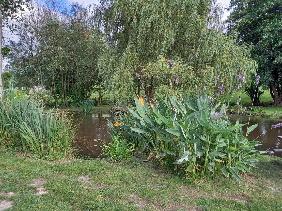 La Gasteboisiere With Swimming Pool And Games Room Le Mesnil-Adelee エクステリア 写真